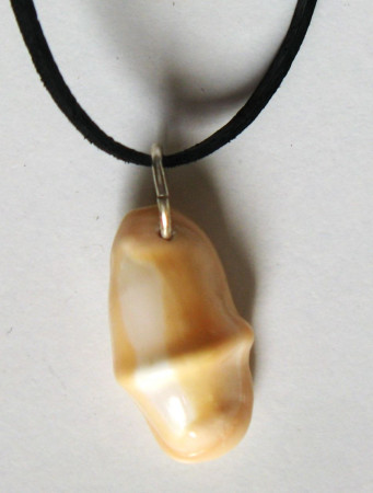 Přívěsek, Cyphoma gibbosum